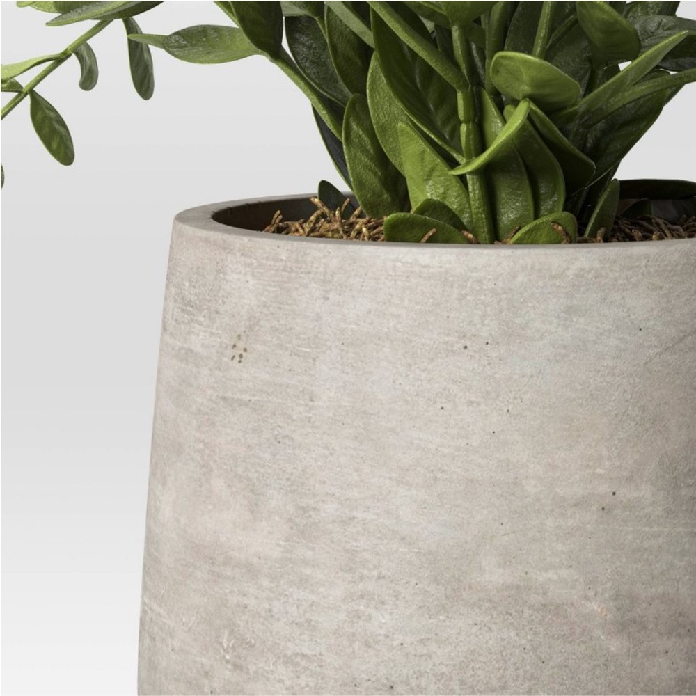 STUDIO MCGEE NWT indoor/outdoor privet faux plant in cement pot -14” - Picture 4 of 7